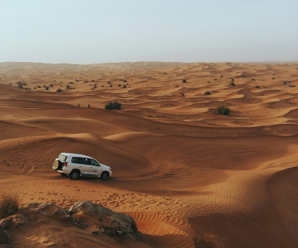 Desert Safari